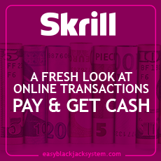 skrill sidebar banner